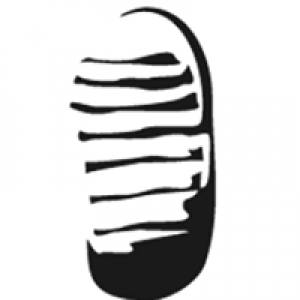 Moonwalker | Scoring Willows